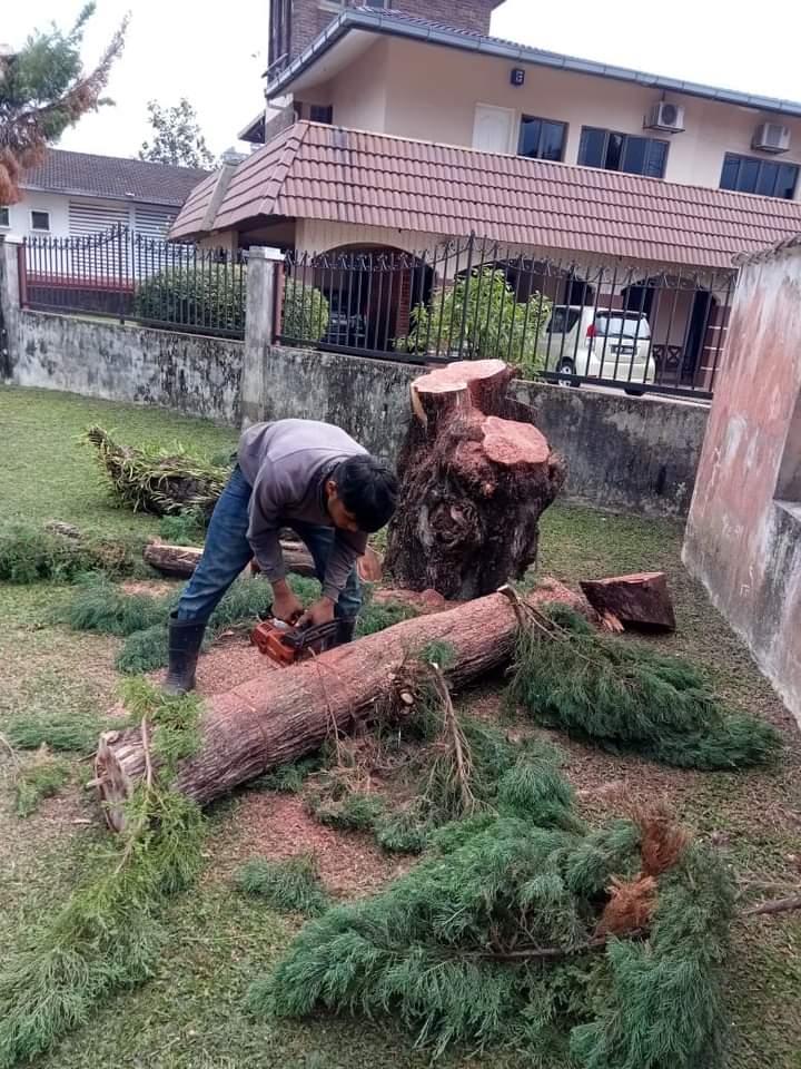 WhatsApp Image 2025-06-02 at 19.07.22